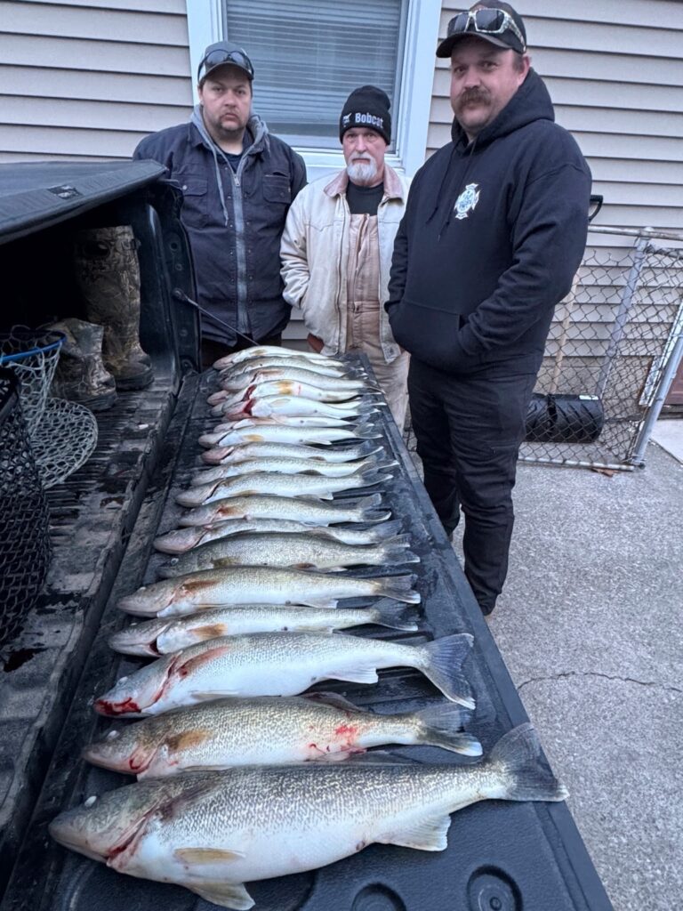 D77B881D-0B93-40B0-A9C9-D4057454010C